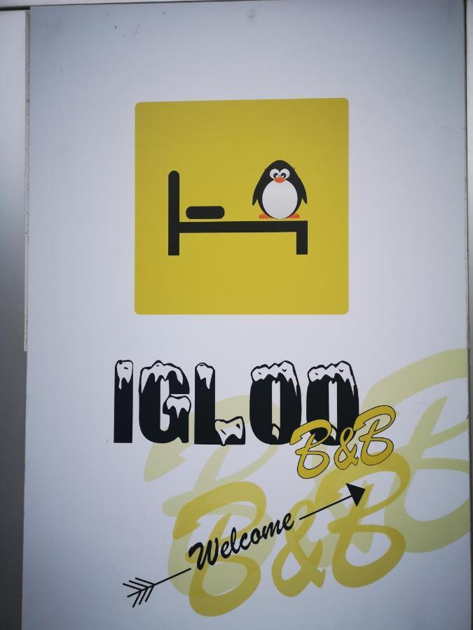 L'Igloo B&B Sedico Экстерьер фото